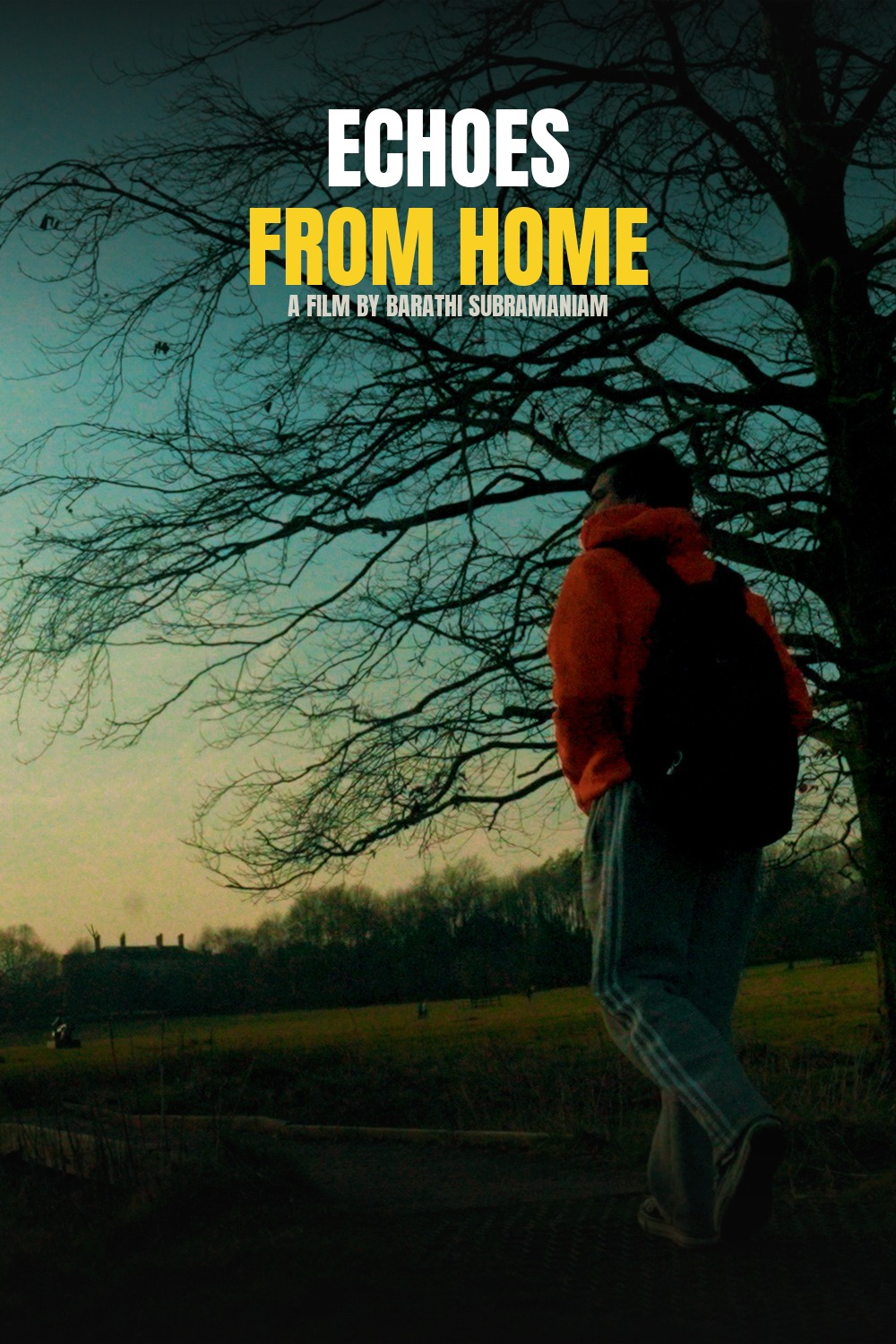 Echoes from Home poster