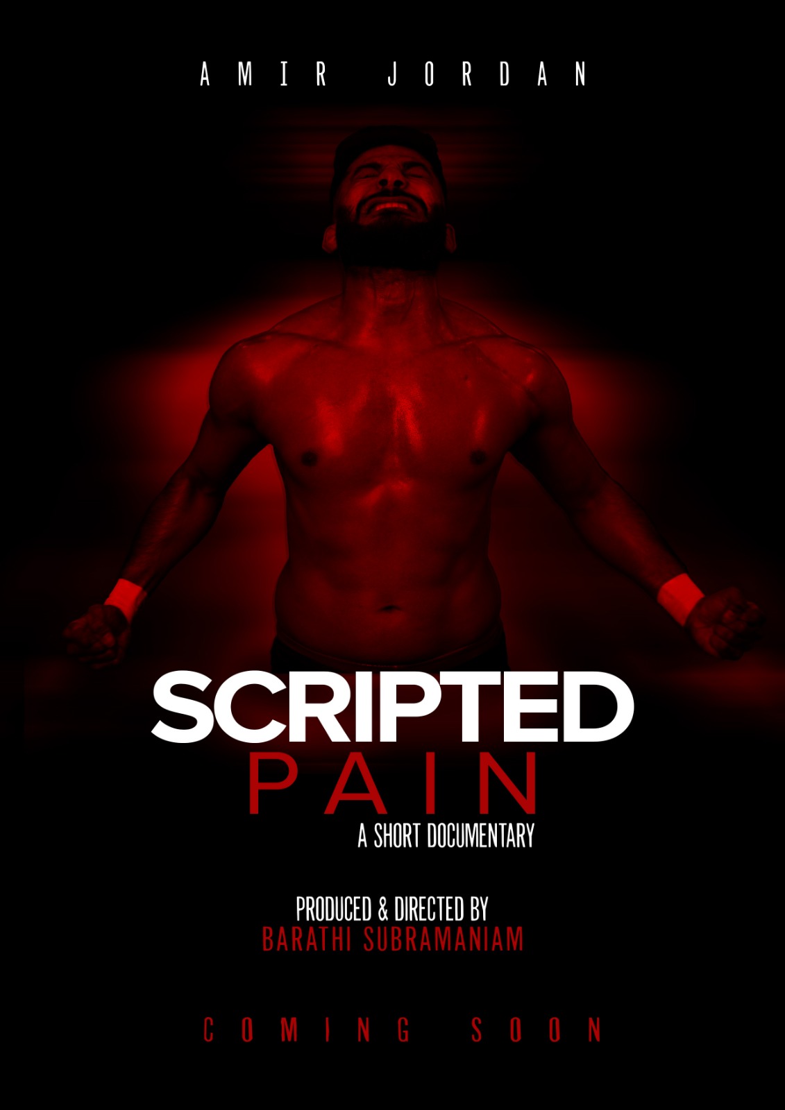Scripted Pain poster